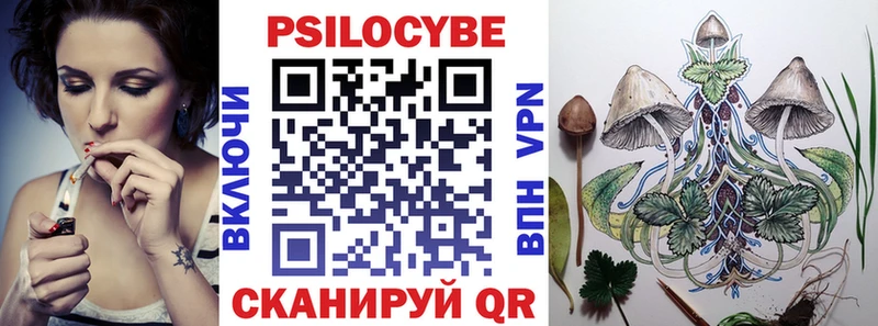 Галлюциногенные грибы Psilocybe  Купить где  Горячий Ключ 